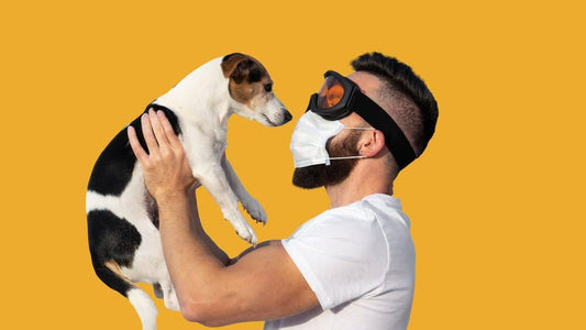 🐾 Vanhemmat ja lemmikinomistajat huomio! Näin pidät kodin ilman puhtaana