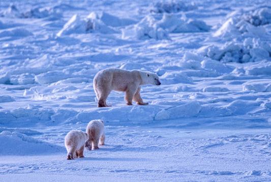 Ilmanvaihto ja sisäilman laatu ilmaston muuttuessa – Airflitr suodattimet turvaavat kotisi