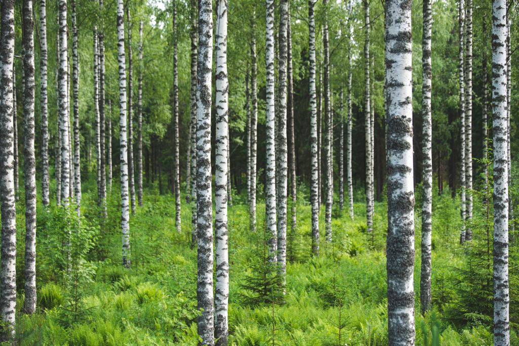 Ilmanvaihtokoneen suodatin | NIBE 40s-350 vaihto-opas