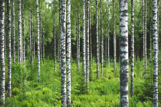 Ilmanvaihtokoneen suodatin | NIBE 40s-350 vaihto-opas